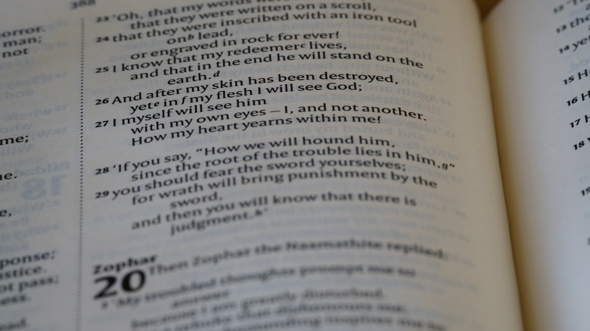 close up, bokeh, macro, blur, blurred background, close focus, bible, old testament, hebrew bible, christian, judaism, history, text, reading, bible study, devotions, text, NIV, New International Version, type, typography, canon, christianity, holy scripture, holy bible, scripture, old testament, hebrew bible, esther, tanakh, ketuvim, book of job, job, אִיּוֹב, theodicy, satan, the accuser, הַשָּׂטָן,